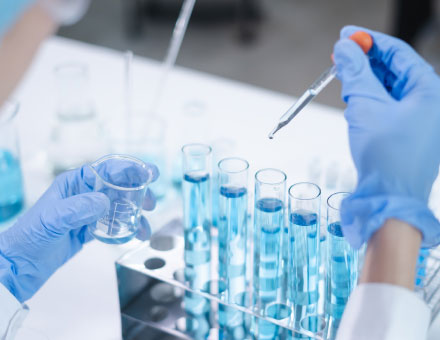 MD Meymac - Development