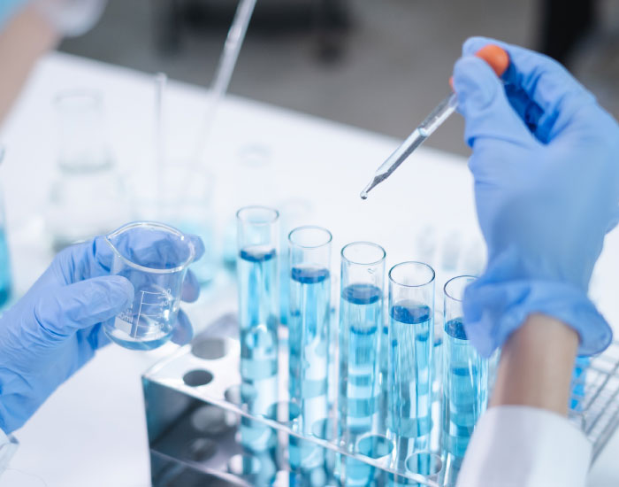 MD Meymac - Development